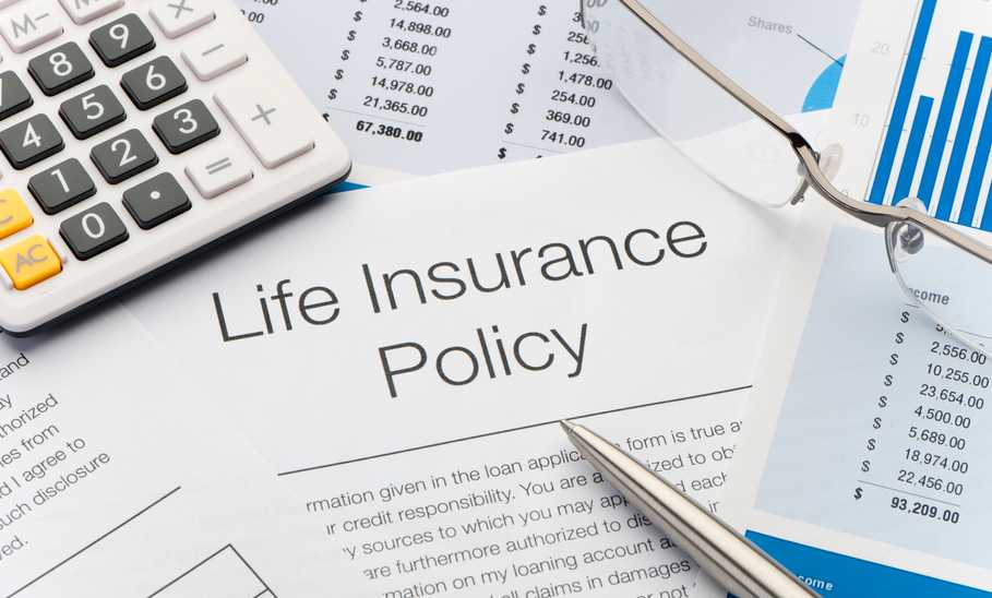 term life insurance