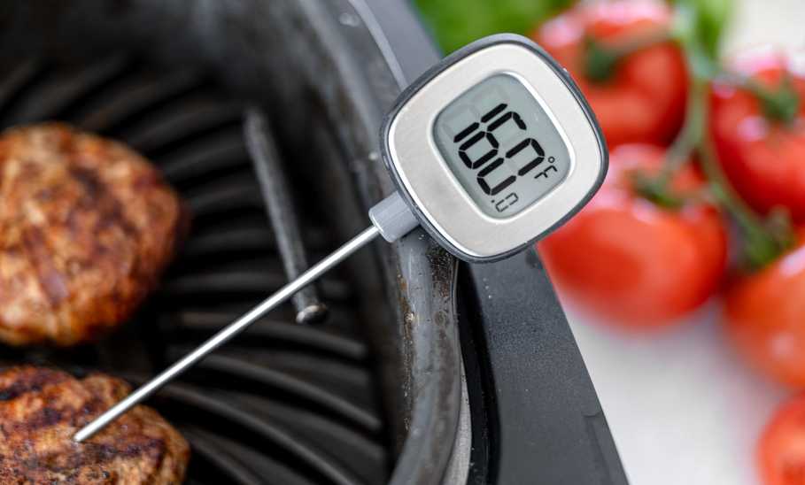 Best Meat Thermometers