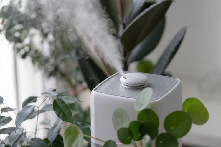 Humidifier