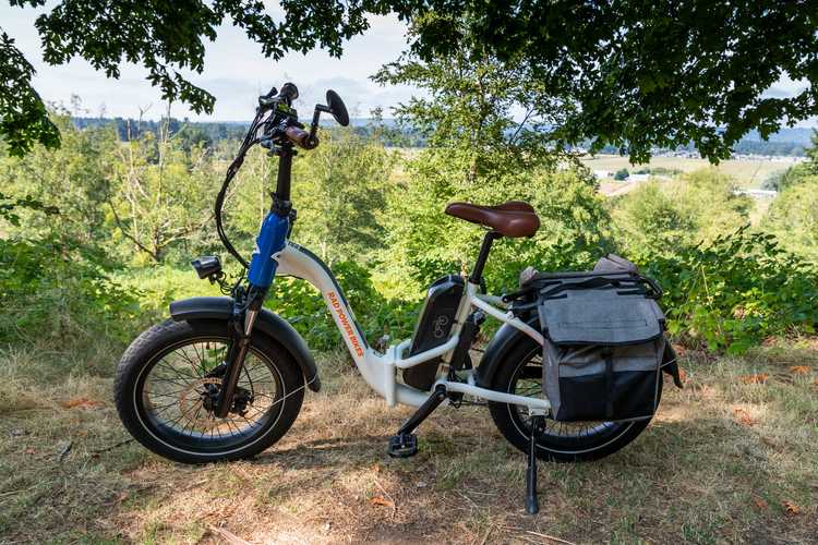 Best Electric Cargo Bikes