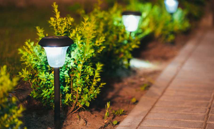 Best Outdoor Solar Lights